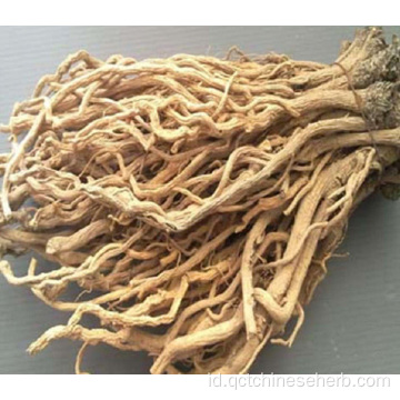 Kualitas Indigowoad Root